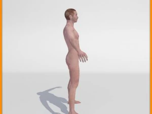 realistic male body 3D Model