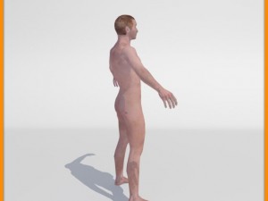 realistic male body 3D 모델