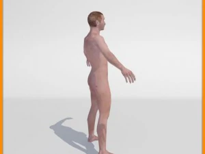 realistic male body 3D Model