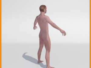 realistic male body 3D 모델