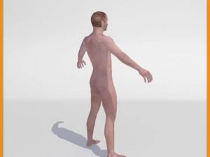 realistic male body 3D Model