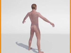 realistic male body 3D Model