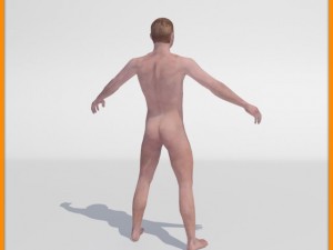 realistic male body 3D 모델