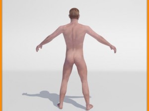 realistic male body 3D 모델