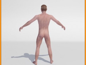 realistic male body 3D 모델