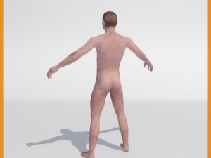 realistic male body 3D 모델