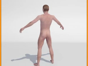 realistic male body 3D Model