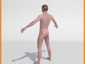 realistic male body 3D 모델
