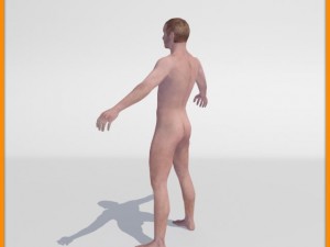 realistic male body 3D 모델