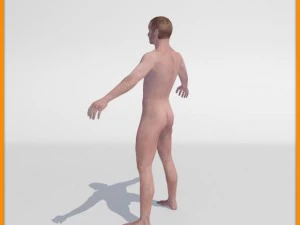 realistic male body 3D Model