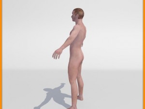 realistic male body 3D 모델