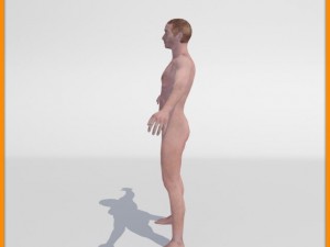 realistic male body 3D 모델