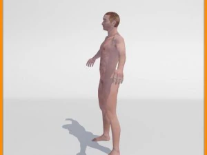 realistic male body 3D Model