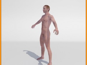realistic male body 3D 모델