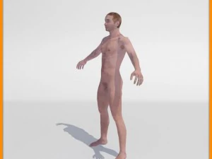 realistic male body 3D Model