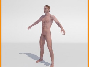 realistic male body 3D 모델