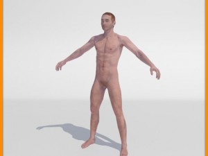 realistic male body 3D 모델