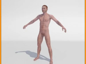 realistic male body 3D Model