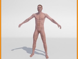 realistic male body 3D 모델