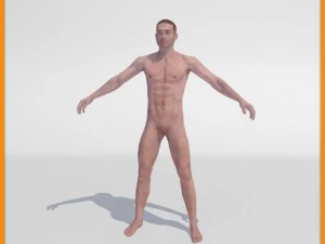 realistic male body 3D Model