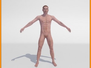 realistic male body 3D 모델