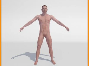 realistic male body 3D Model