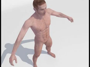realistic male body 3D Model