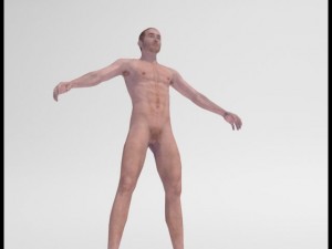 realistic male body 3D 모델
