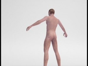 realistic male body 3D 모델