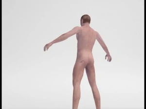 realistic male body 3D Model