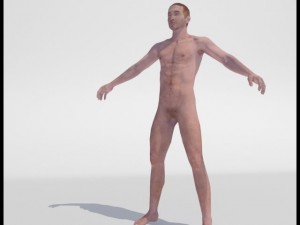 realistic male body 3D 모델