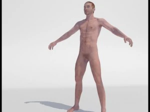 realistic male body 3D Model