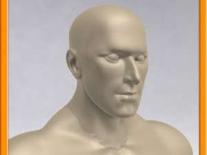 realistic male muscle 3D Model