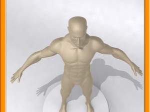 realistic male muscle 3D Model