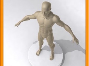 realistic male muscle 3D Model