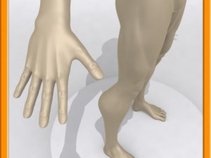 realistic male muscle 3D Model