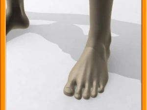 realistic male muscle 3D Model