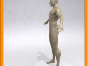realistic male muscle 3D Model