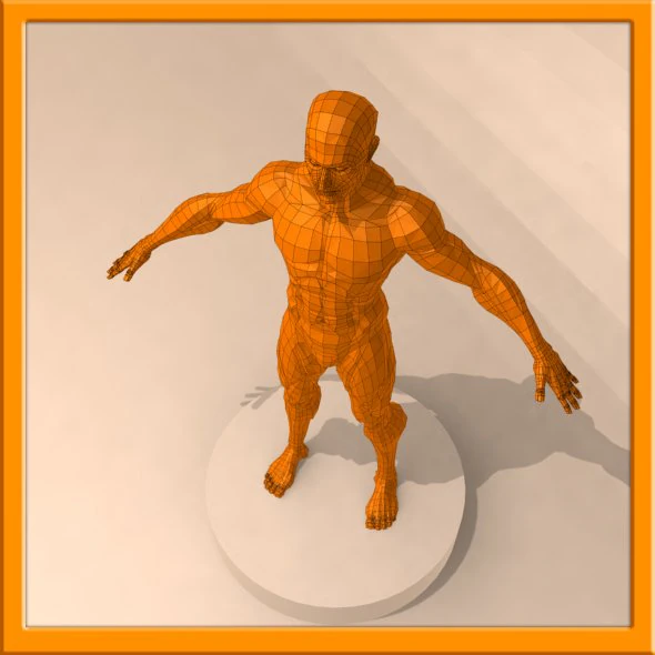 realistic male muscle 3D Model .c4d .max .obj .3ds .fbx .stl .blend