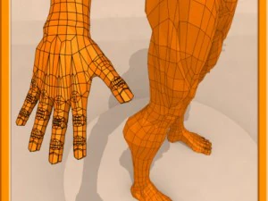 realistic male muscle 3D Model