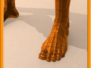 realistic male muscle 3D Model
