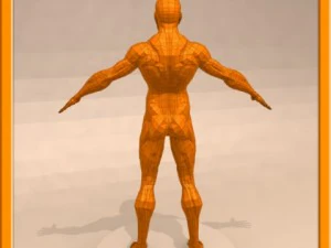 realistic male muscle 3D Model