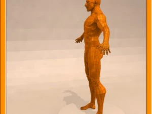 realistic male muscle 3D Model