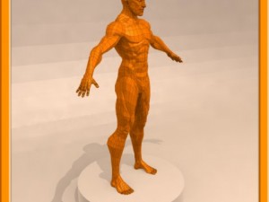 realistic male muscle 3D Model