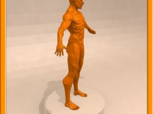 realistic male muscle 3D Model