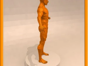 realistic male muscle 3D Model