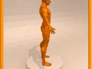 realistic male muscle 3D Model