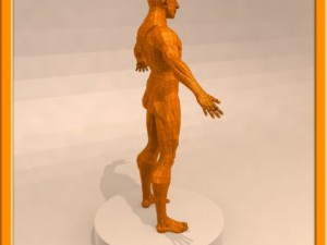 realistic male muscle 3D Model