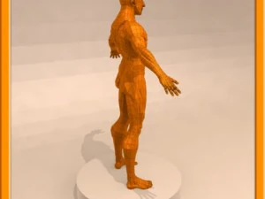 realistic male muscle 3D Model