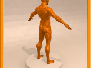 realistic male muscle 3D Model